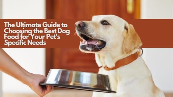 The Ultimate Guide to Choosing the Best Dog Food for Your Pet’s Specific Needs